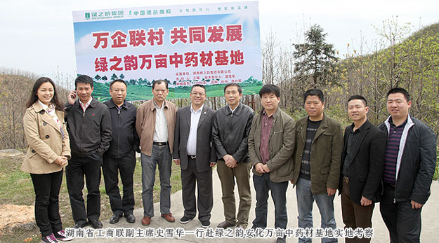 湖南省工商聯(lián)副主席史雪華一行赴綠之韻安化萬畝中藥材基地實(shí)地考察