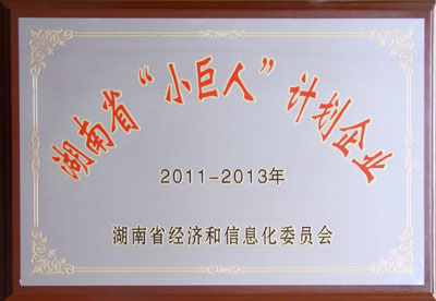 湖南省“小巨人”計(jì)劃企業(yè)